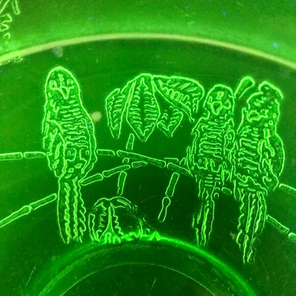 Vintage Green Uranium Vaseline Sylvan Federal Glass Parrot Bowl Plate Used - Picture 2 of 7